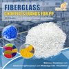 Ex-factory price 10-13um Glass Fiber chopped strands With PP/PA/PBT Compatible Resin