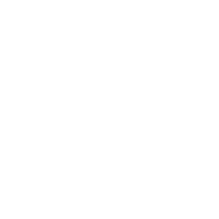 Transportation Industry