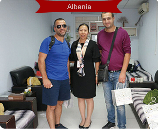 En 2017, les clients de l'Albanie ont visité notre usine et ont finalement atteint une coopération